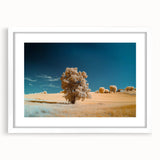 Framed landscape art print featuring vibrant fields in a white mat and frame, ideal for home decor or office spaces, enhancing any interior with its natural beauty.