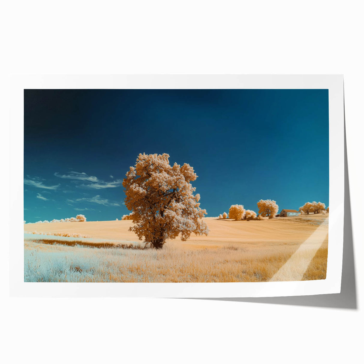 Vibrant rolled canvas print showcasing a colorful landscape design with rolling fields and a blue sky, elegantly packaged in a protective cardboard tube for safe delivery. This artwork adds a touch of nature-inspired beauty to any home decor.