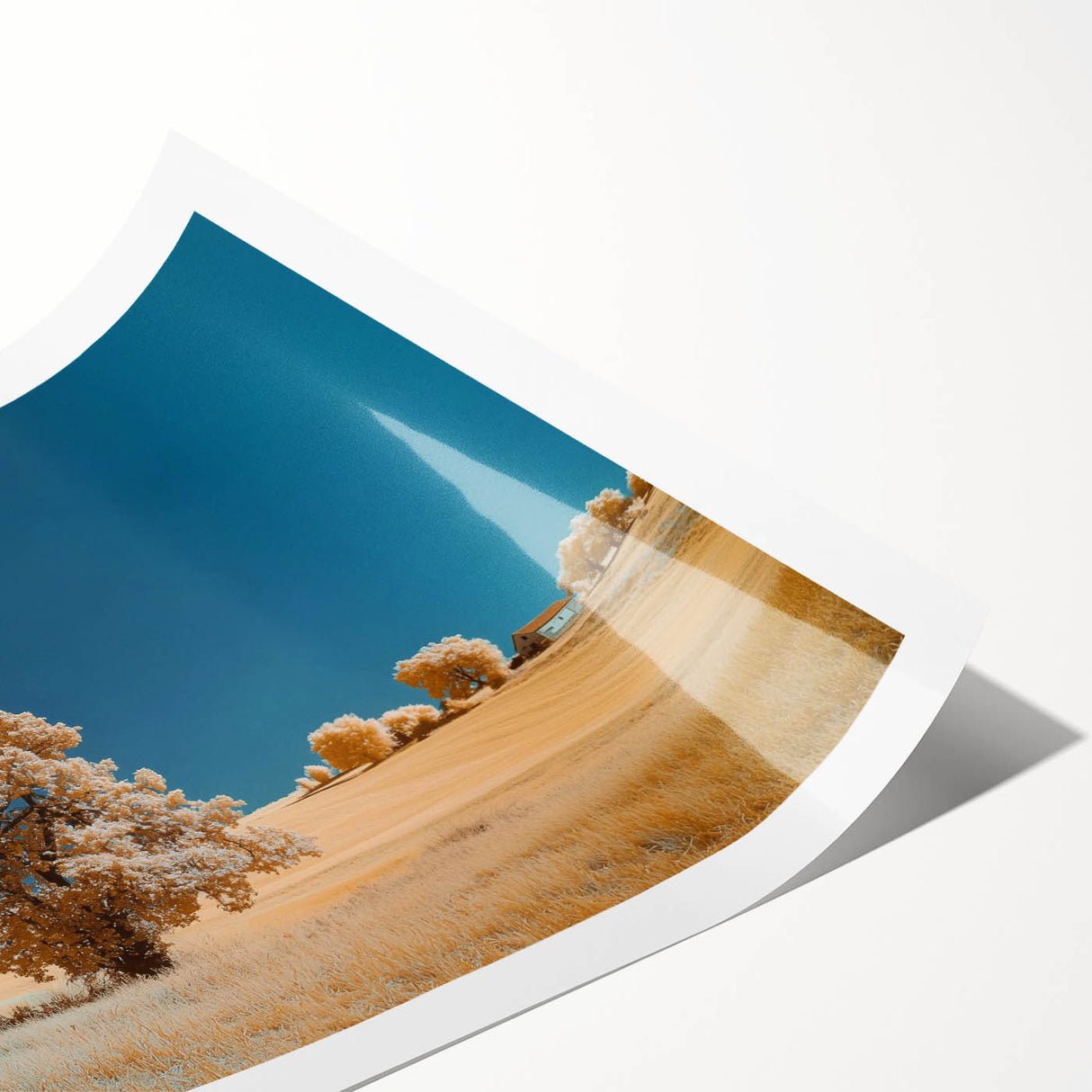 Vibrant rolled print showcasing a serene landscape of golden fields under a blue sky, designed to enhance home decor with its natural beauty. Ideal for art lovers.