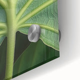 Close-up acrylic print of abstract florals in vibrant colors, suitable as mid-century modernist dining room art.