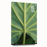 Close-up of a floral acrylic print featuring vibrant greens and pinks, ideal for dining room decor.