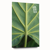 Large abstract floral design in vibrant colors on acrylic glass, ideal for bedroom or dining room art.