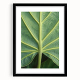 Extra large abstract art print featuring a textured mix of vibrant colors on a black framed canvas.