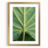 Extra large abstract art print featuring textured floral designs in gold and white tones, framed.