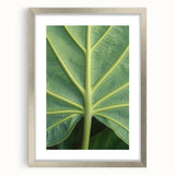 Textured art print featuring abstract floral designs in soft pastel shades, framed with a silver mat.