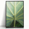 Large abstract wall art featuring floral motifs in vibrant colors on a black acrylic framed print.