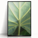 Large abstract wall art featuring floral motifs in vibrant colors on a black acrylic framed print.