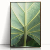 Framed acrylic print of close-up floral imagery in soft pastel colors, ideal for nursery wall art.