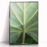 Mid-century modernist art depicting close-ups of florals in silver frame, ideal for nursery wall art.