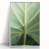 Art deco poster of florals in muted pastel shades, framed in white acrylic, ideal for nursery wall art.