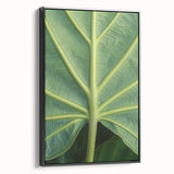 Black and white framed canvas featuring a close-up floral design, ideal for bedroom wall art in a vintage style.