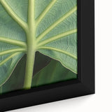Extra large framed canvas featuring a close-up of colorful, textured florals on a black background.