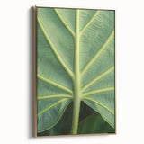 Framed canvas featuring a close-up floral design in muted gold and black tones, ideal for bedroom wall art.