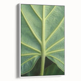 Vintage poster art of vibrant floral designs on a framed canvas, ideal for extra large living room wall decor.