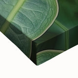 Large art of a black and white close-up floral image on stretched canvas, ideal for bedroom wall decor.