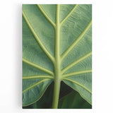 Black and white close-up floral image on stretched canvas, ideal for kitchen wall art.