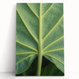 Black and white floral photograph on a large stretched canvas, ideal for kitchen wall art or bedroom ambiance.