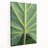 Close-up floral image with vibrant pink and green tones on stretched canvas, suitable for kitchen wall art.