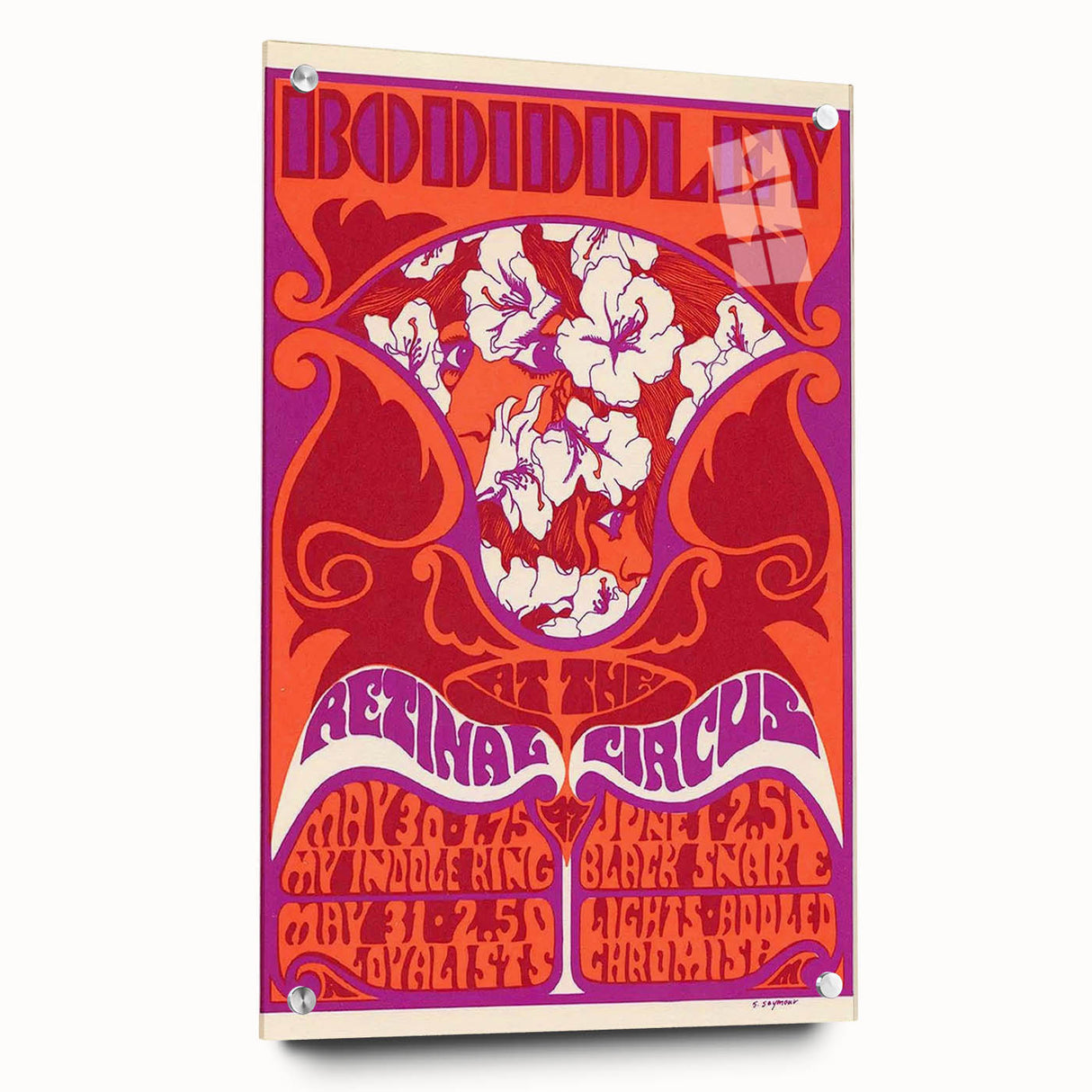 Vintage Bo Diddley Retinal Circus Poster 1975 - Retro Music Art
