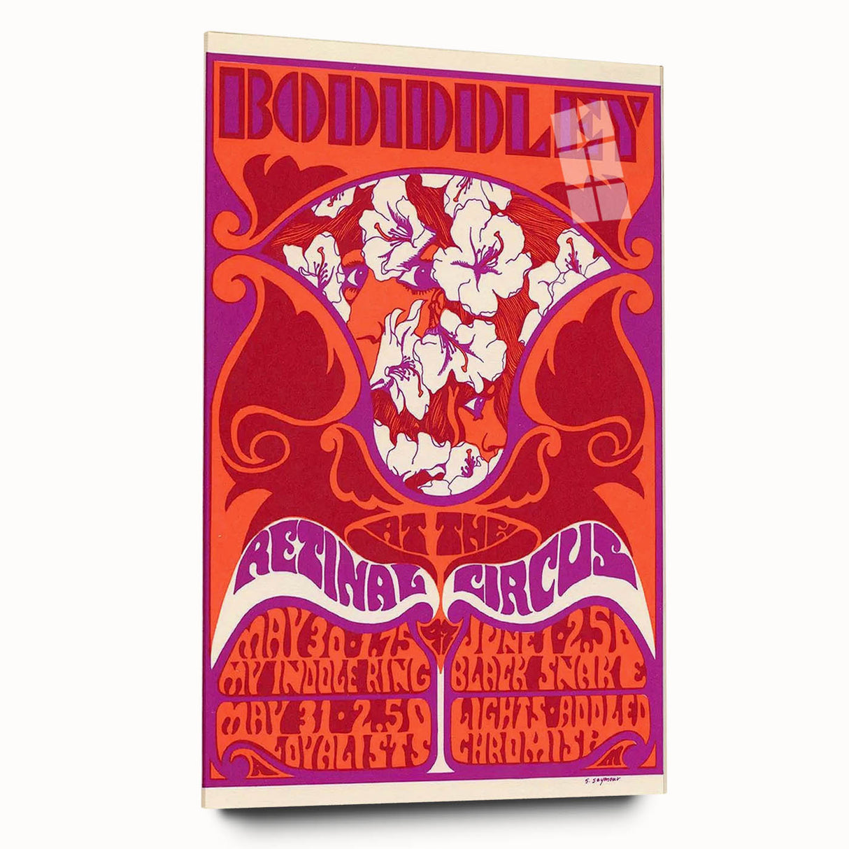 Vintage Bo Diddley Retinal Circus Poster 1975 - Retro Music Art