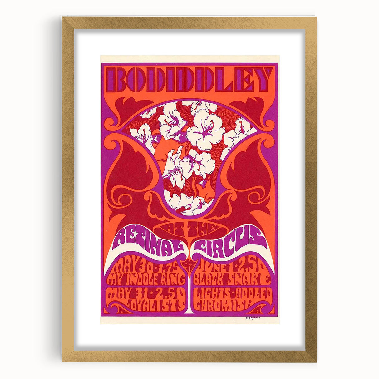 Vintage Bo Diddley Retinal Circus Poster 1975 - Retro Music Art