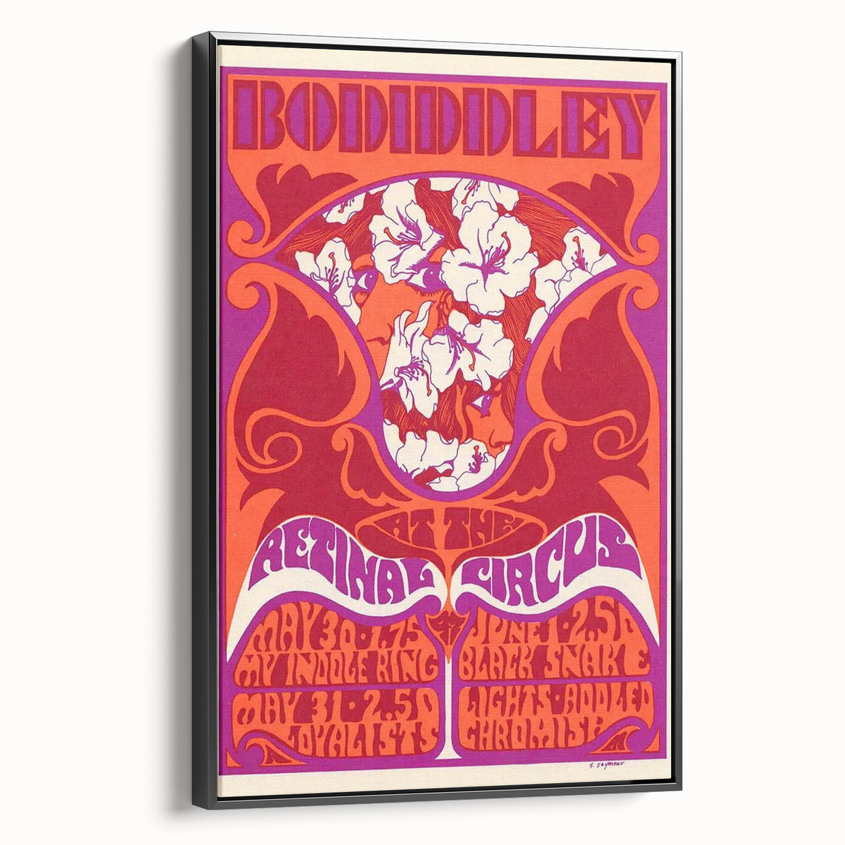 Vintage Bo Diddley Retinal Circus Poster 1975 - Retro Music Art
