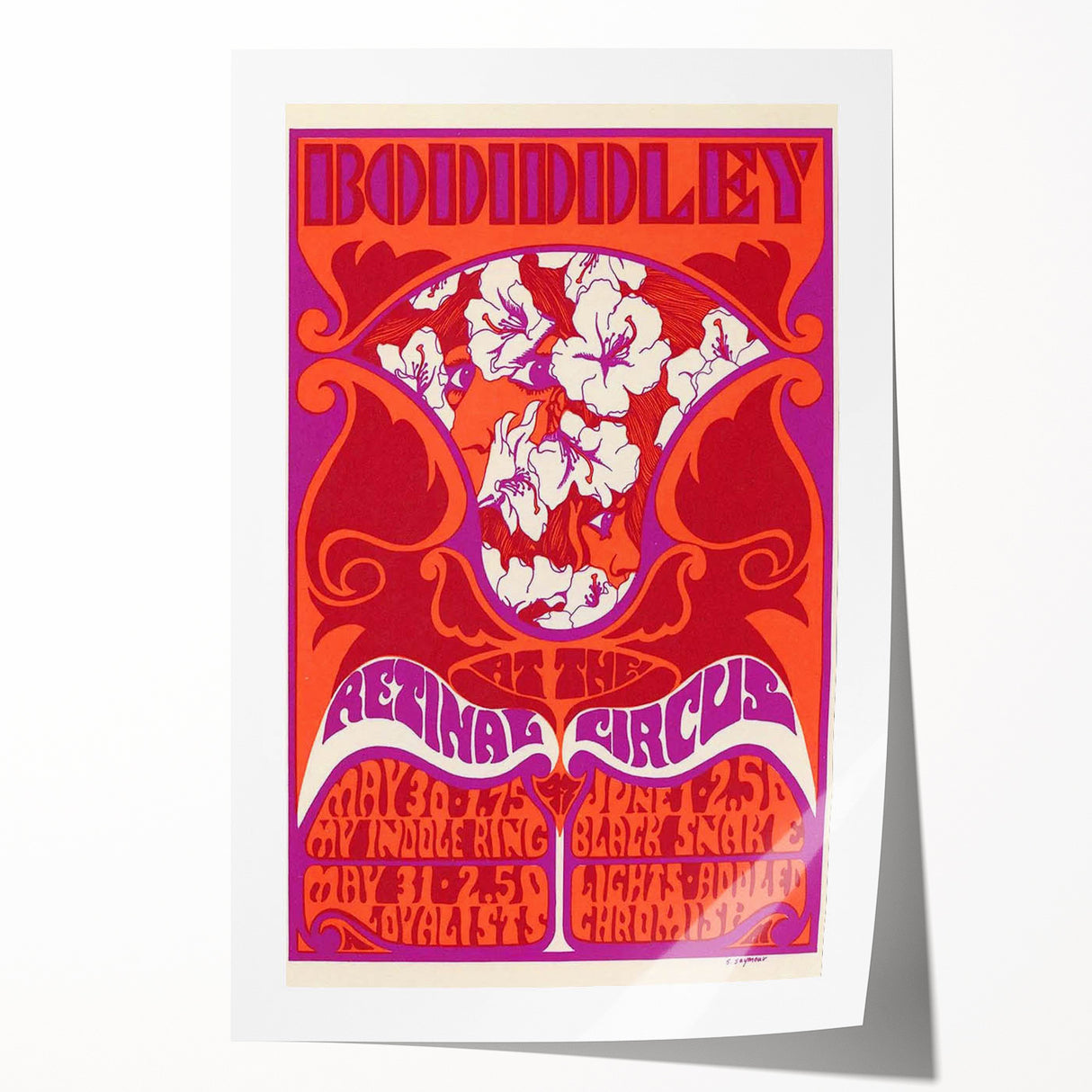 Vintage Bo Diddley Retinal Circus Poster 1975 - Retro Music Art