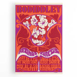 Vintage Bo Diddley Retinal Circus Poster 1975 - Retro Music Art