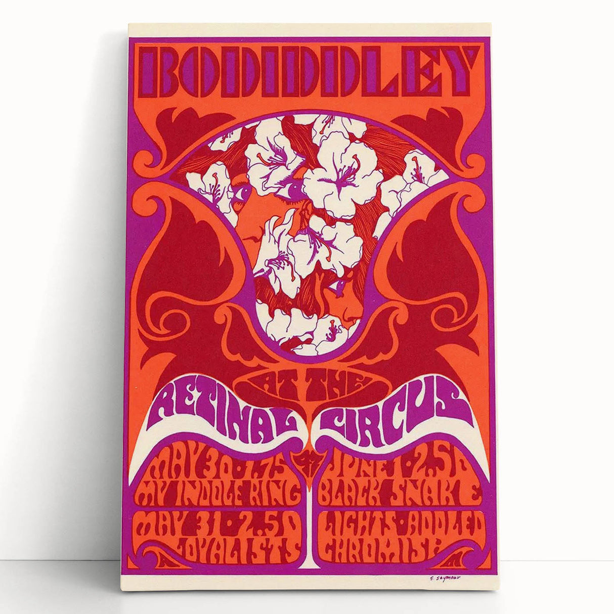 Vintage Bo Diddley Retinal Circus Poster 1975 - Retro Music Art