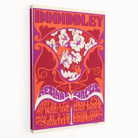 Vintage Bo Diddley Retinal Circus Poster 1975 - Retro Music Art
