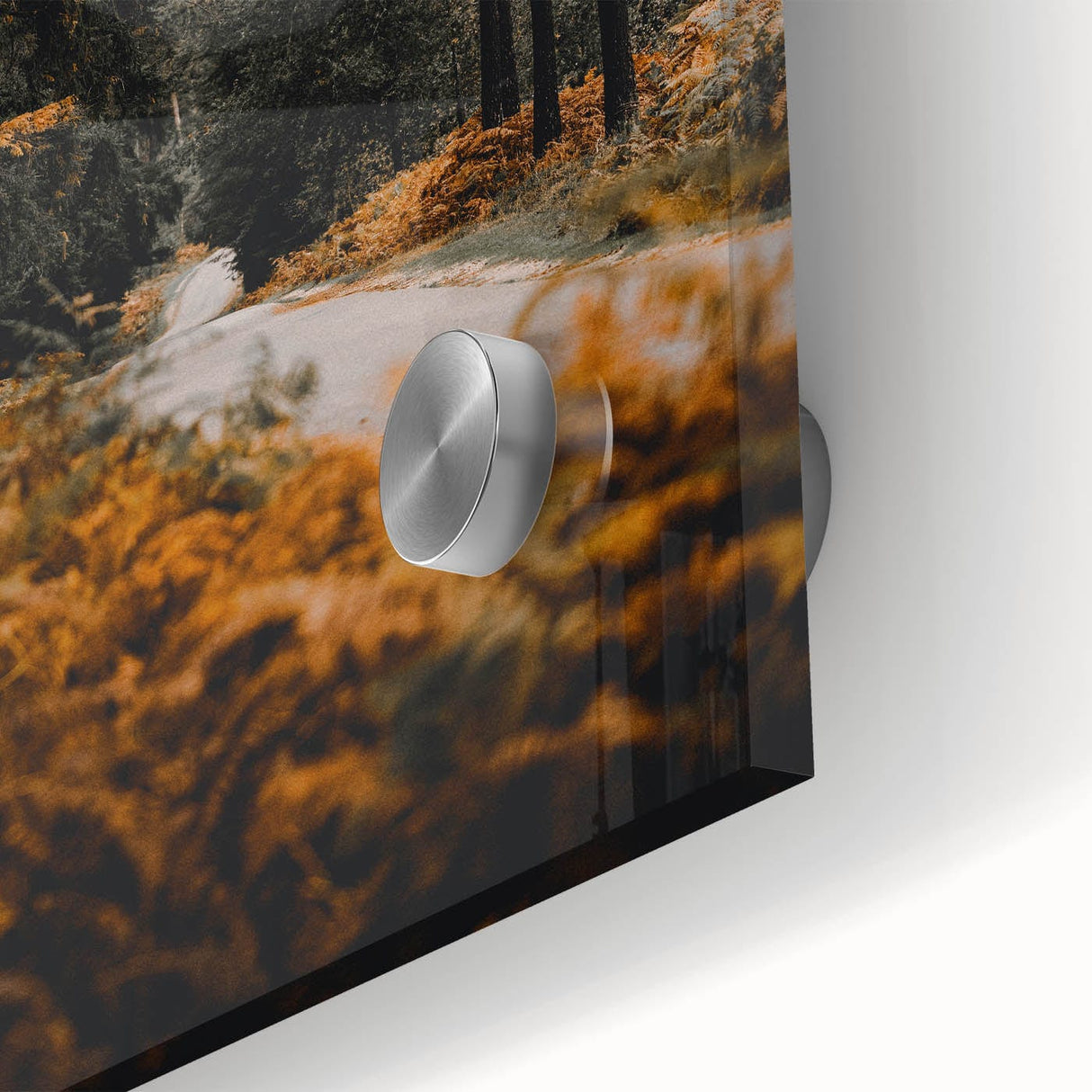 Large abstract wall art depicting autumn trees in earthy tones on acrylic glass, suitable for dining room ambiance.