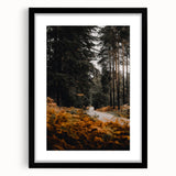 Extra large abstract art print featuring vibrant autumn colors and textured patterns on a black framed canvas.