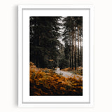 Abstract art print depicting autumnal trees in muted orange and brown tones, framed with a white mat.