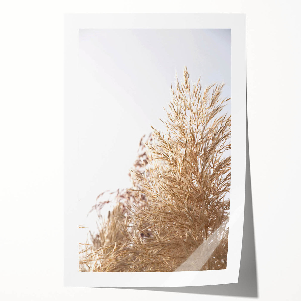 Extra large rolled print of summer-themed floral art in pastel shades, ideal for art wall dining room.