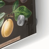 Large abstract wall art of assorted fruits in vibrant colors, printed on acrylic glass, suitable for dining room decor.