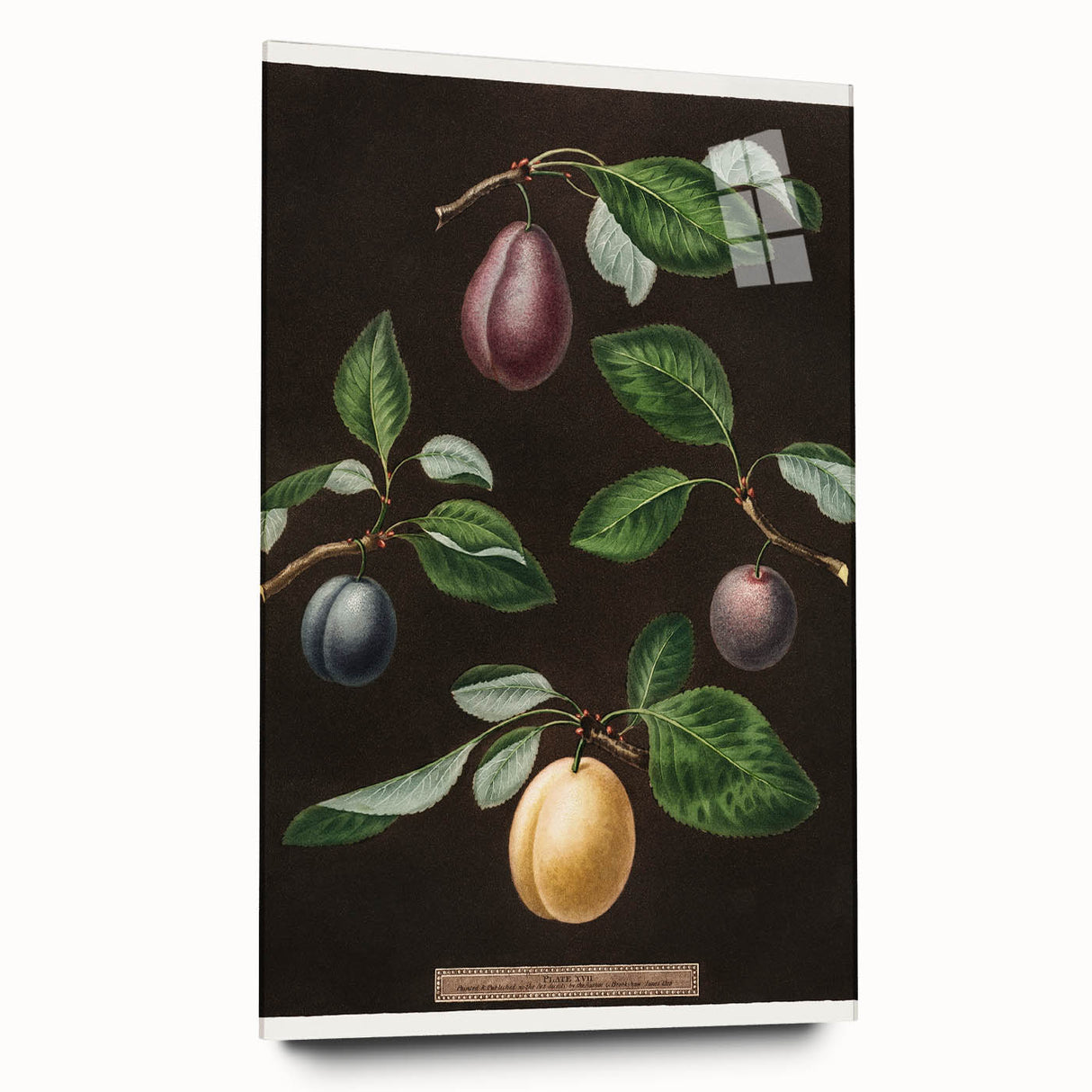 Large abstract wall art featuring assorted fruits in vibrant colors on acrylic glass, ideal for bedroom or dining room decor.