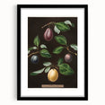 Extra large abstract art print featuring colorful, textured fruits, framed in black, ideal for living room decor.
