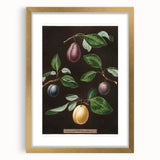 Extra large abstract art print featuring textured fruits in vibrant colors, framed in gold, ideal for living room decor.