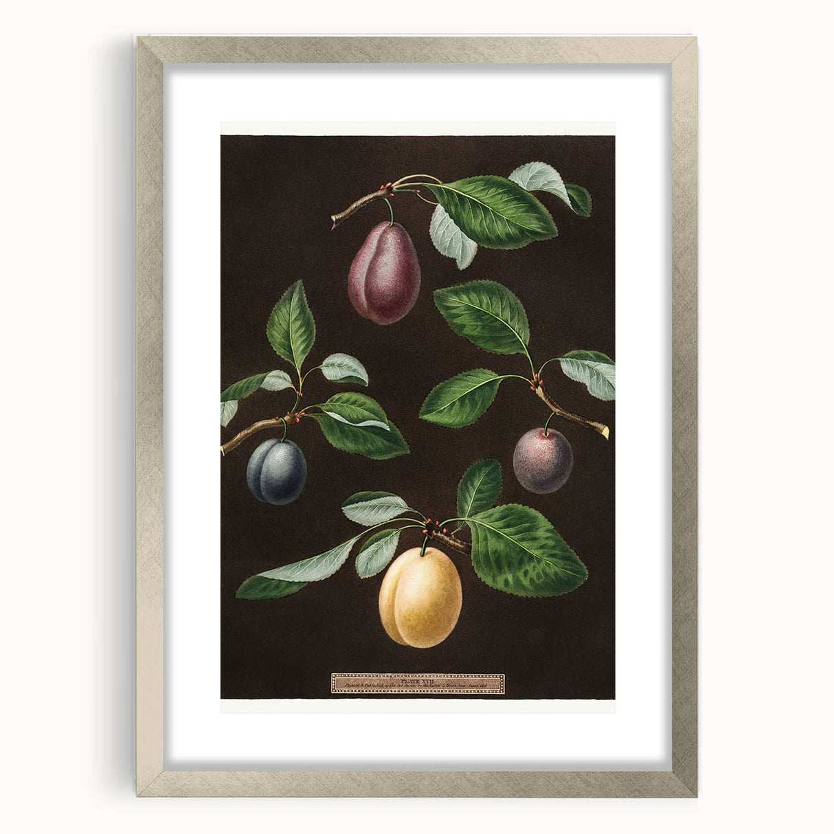 Textured art featuring abstract fruit designs in vibrant colors on a silver-framed mat, ideal for bedroom art.