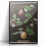 Large abstract wall art featuring a variety of fruits in bold colors on a black acrylic framed print.