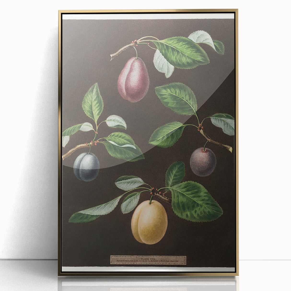 Large art print of assorted fruits in a mid-century modernist style, framed in gold acrylic.