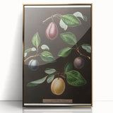 Large art print of assorted fruits in a mid-century modernist style, framed in gold acrylic.