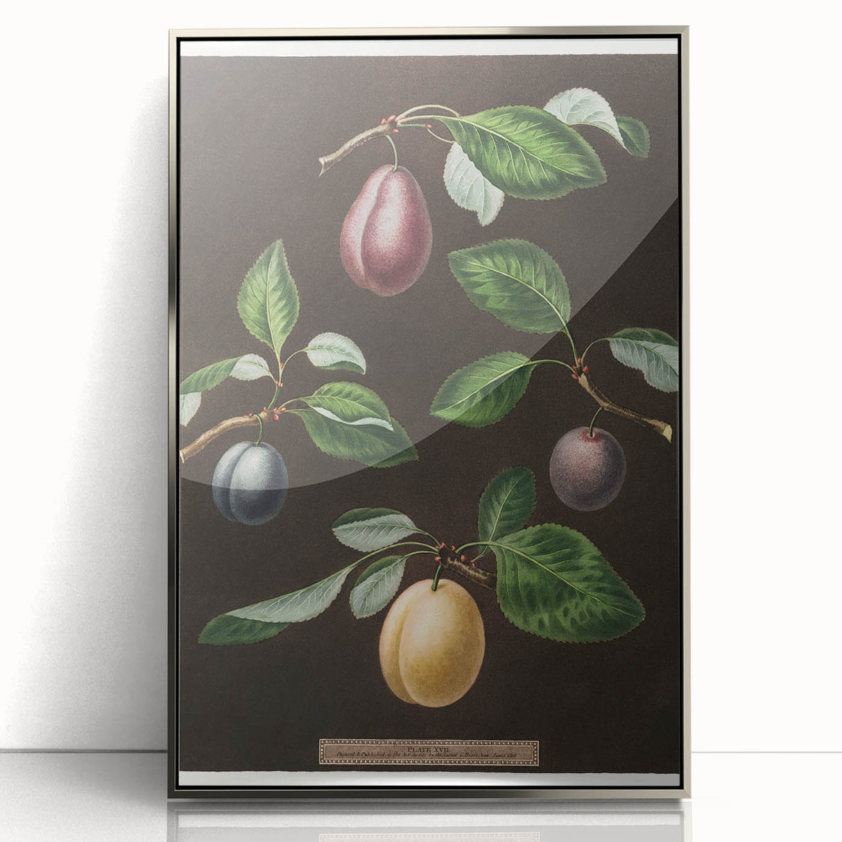 Mid-century modernist art featuring assorted fruits in vibrant colors on a silver-framed acrylic print.