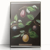 Mid-century modernist art featuring assorted fruits in vibrant colors on a silver-framed acrylic print.