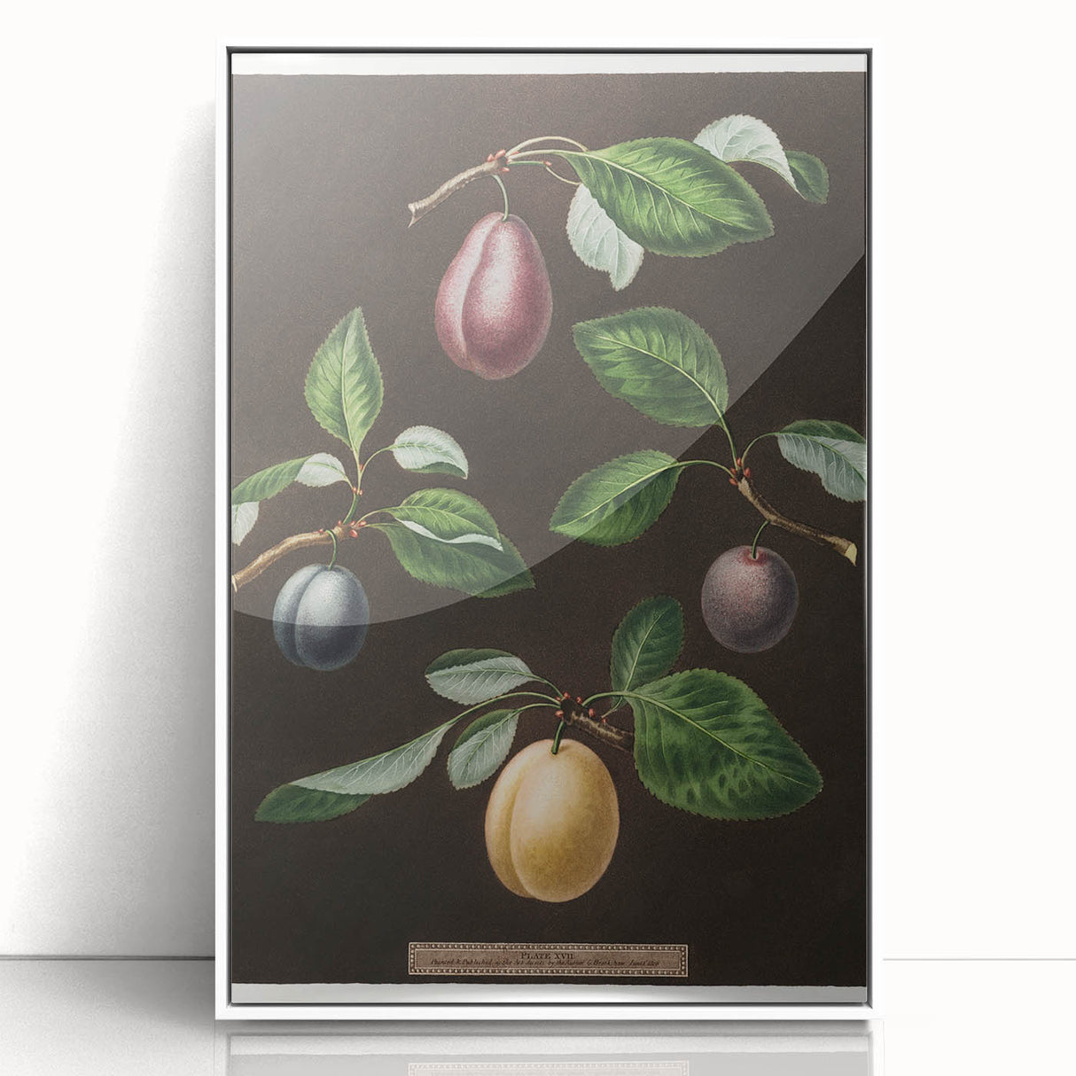Acrylic print of colorful fruits in art deco style, framed in white, ideal for modern kitchen decor.
