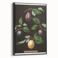 Black and white framed canvas of vintage fruit illustrations, ideal for bedroom wall art.