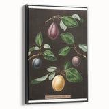 Black and white framed canvas of vintage fruit illustrations, ideal for bedroom wall art.