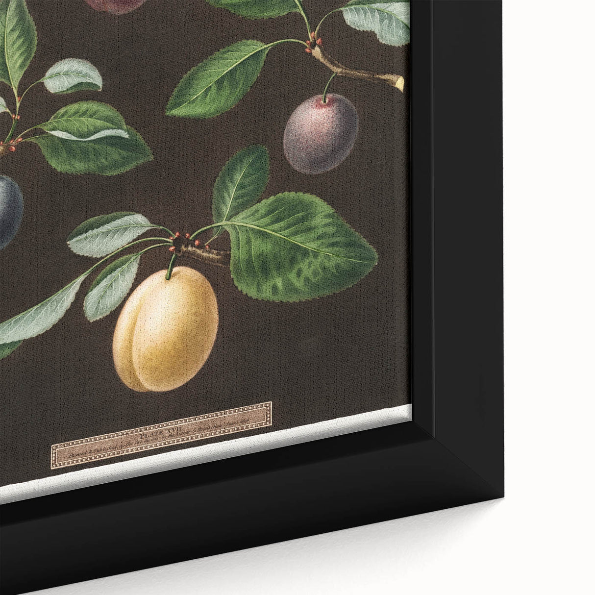 Close-up of black wall art featuring colorful, textured fruits on a large framed canvas, ideal for living room decor.