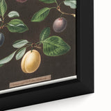 Close-up of black wall art featuring colorful, textured fruits on a large framed canvas, ideal for living room decor.