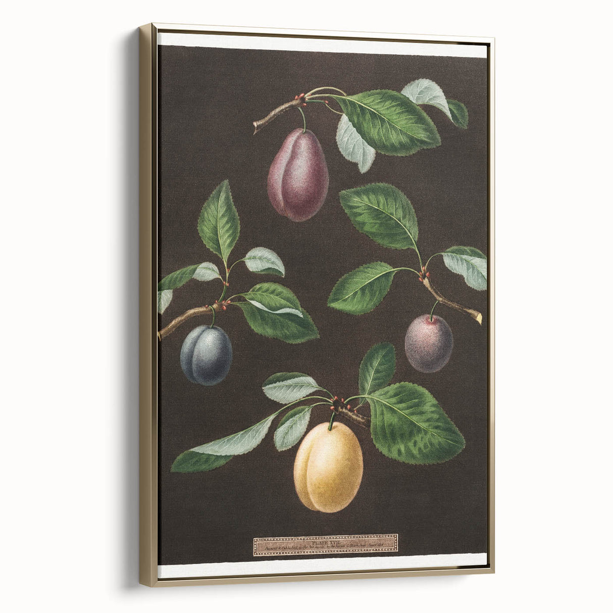Framed canvas featuring a vintage poster art of assorted fruits in muted colors, ideal for bedroom wall decor.